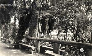 Ain temouchent 045